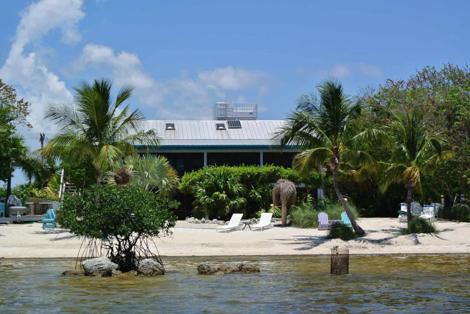 The Best VeganFriendly Resorts in Florida (Top 5) The Vegan Travel Guide