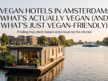 vegan hotels amsterdam