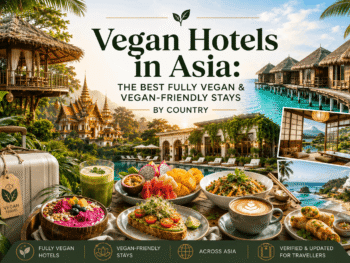 vegan hotels asia