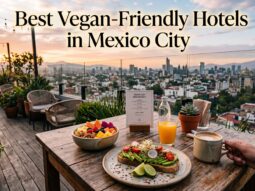 vegan hotels mexico city