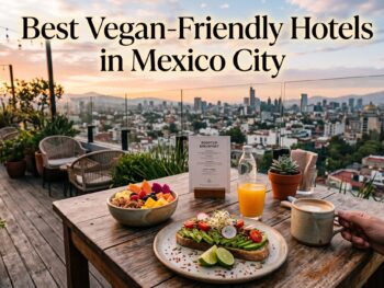 vegan hotels mexico city